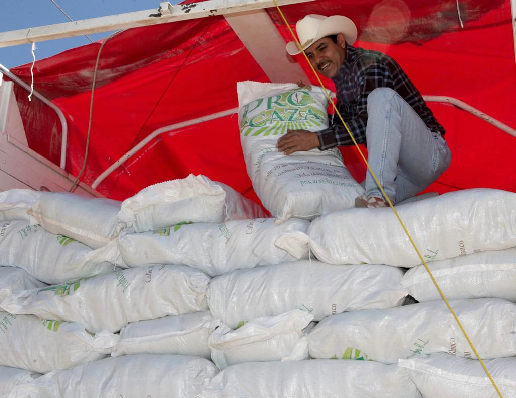 Apoya Segalmex con préstamo de semilla de frijol a productores de Zacatecas, Durango y Chihuahua. Noticias en tiempo real